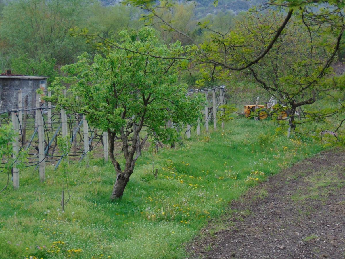 Maison d'hôtes Studio And Winery Kalimut à Virpazar Extérieur photo